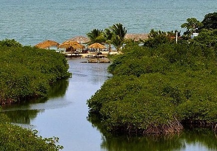 Arjun Patel - Sundarban Tour Review