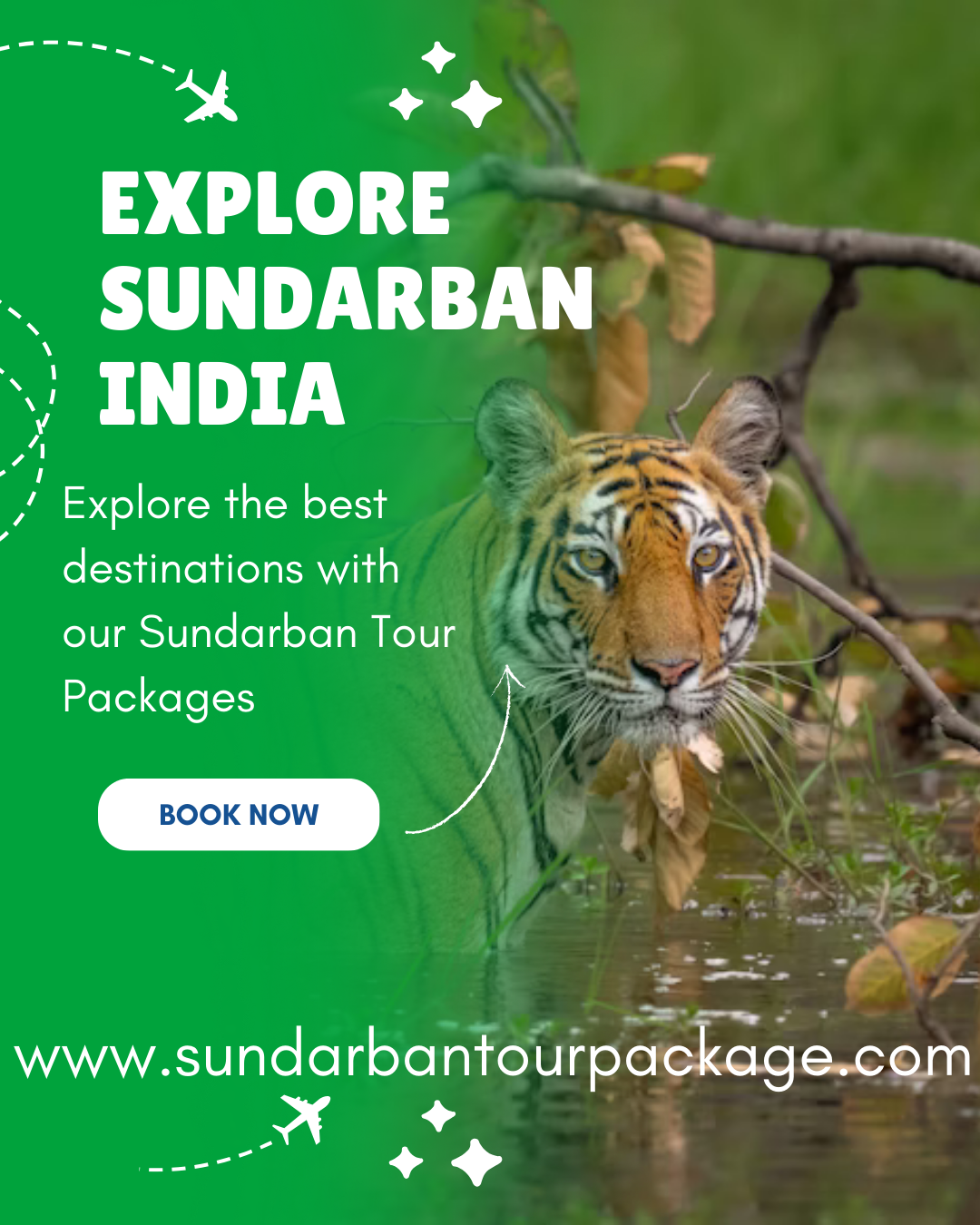 5-Day Sundarban Expedition from Kolkata | ₹9,999