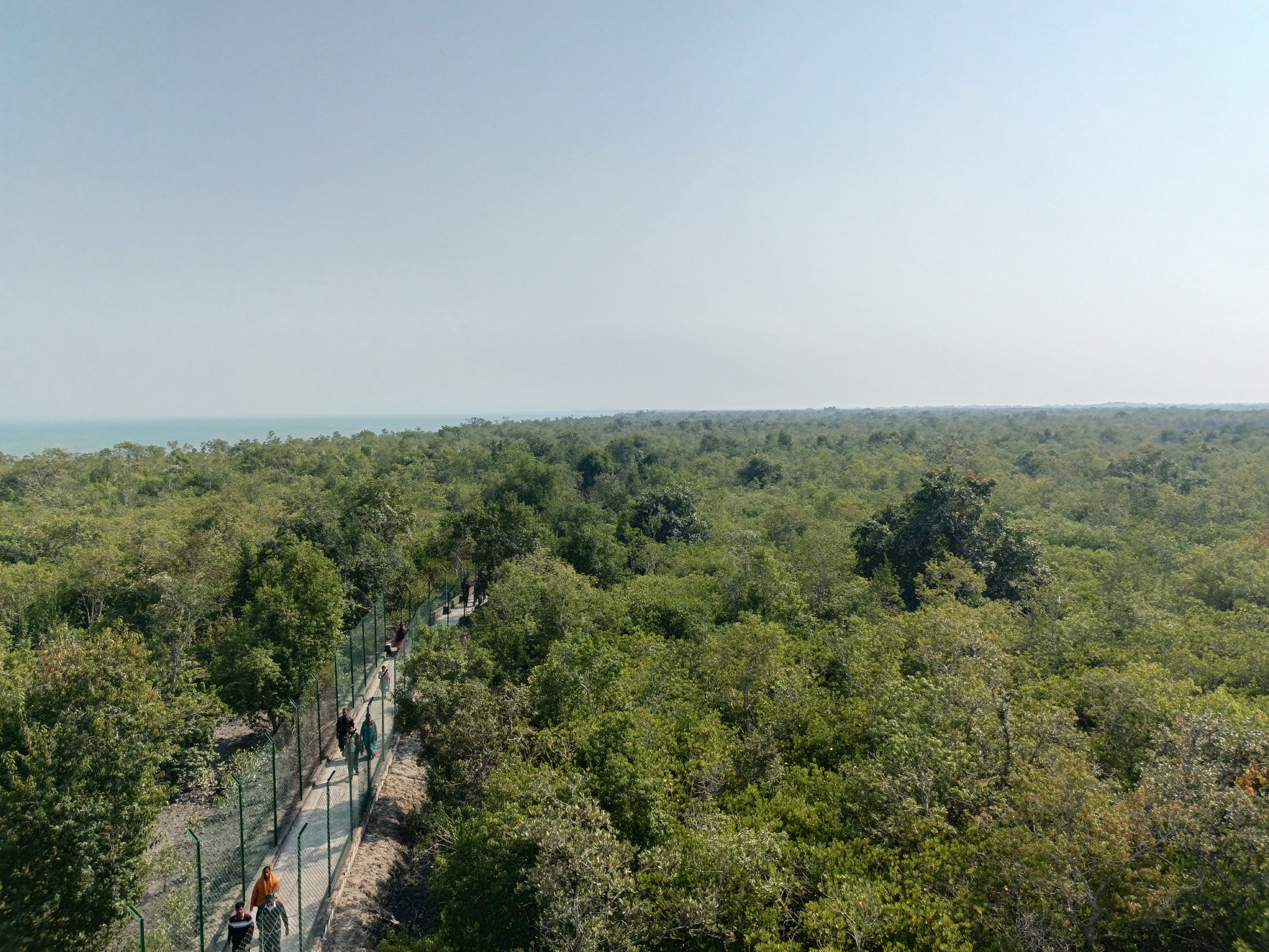Burirdabri Watchtower – The Remote Frontier of Sundarban at the Bangladesh Border