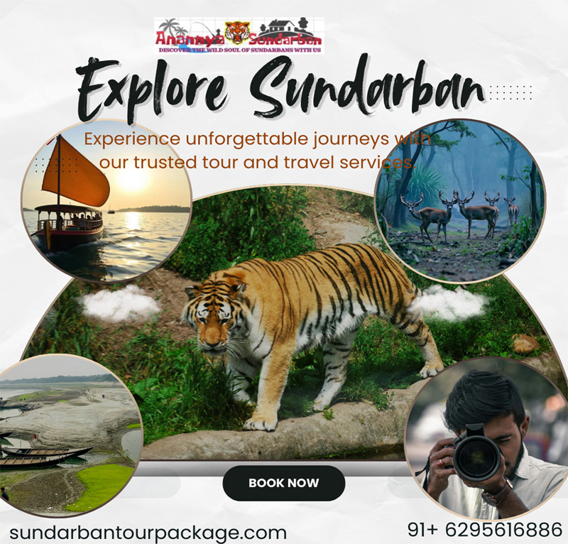 Our Sundarban Tour Team