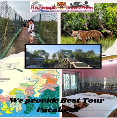 Anannya Sundarban Local Tour Operator Team