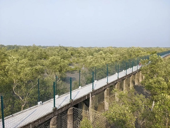 Dobanki Canopy Walk