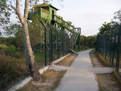 Honeymoon in Sundarban: Romantic Resorts, Private Boats & Sunset Cruises