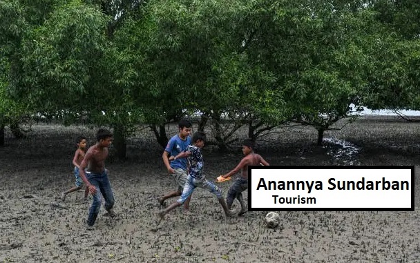 Village Walk in Sundarban: A Journey into the Heart of Local Life, Honey, and Resilience
