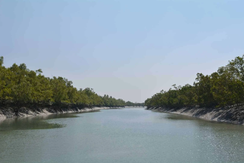 How Many Days Are Enough for Sundarban? A 2024 Duration Guide by Experts
